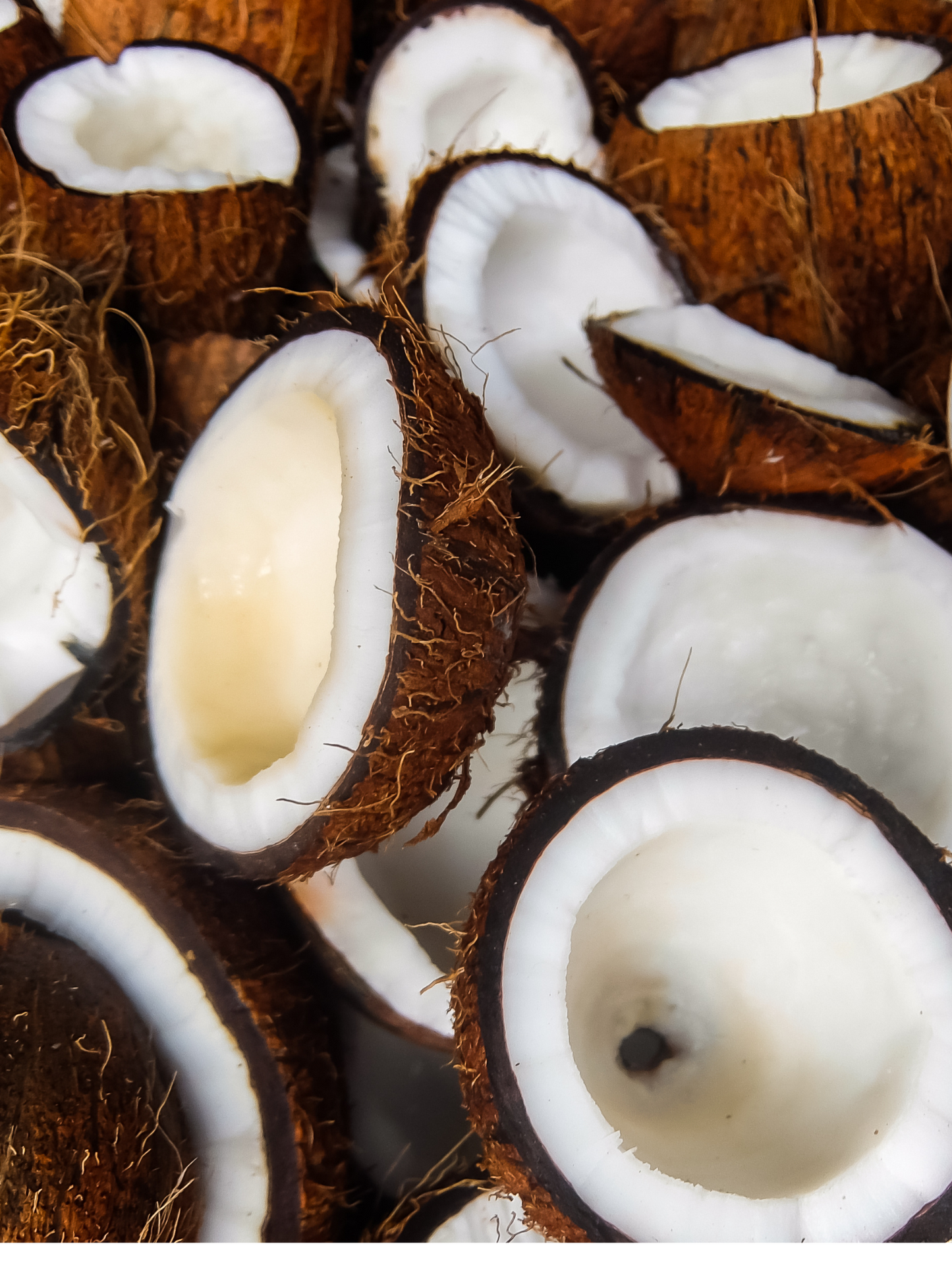 Coconut