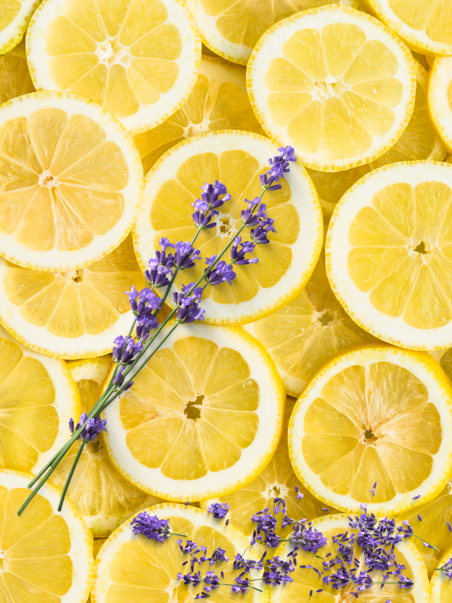 Lemon Lavender