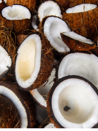 Coconut